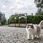 乡村民宿 Maremma Nel Tufo