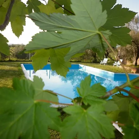 Casa di campagna Maremma Nel Tufo