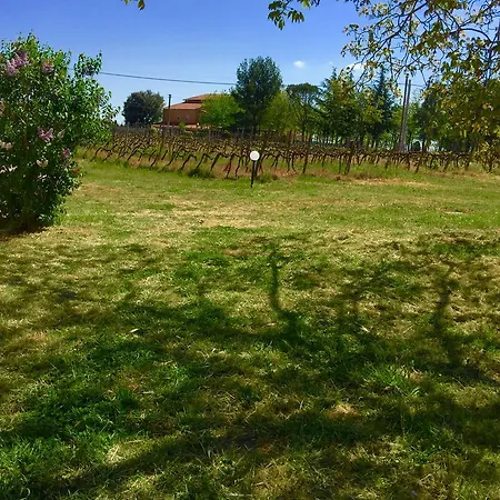 Casa di campagna Maremma Nel Tufo Pitigliano