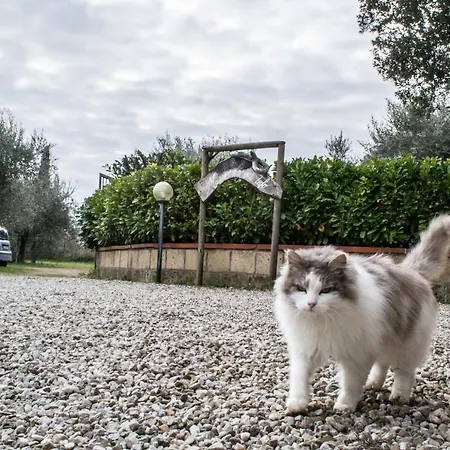 Casa di campagna Maremma Nel Tufo